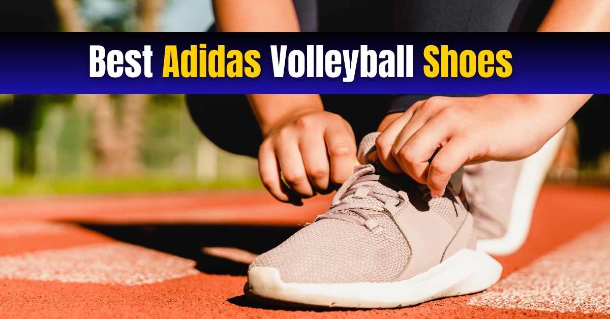 4 Best Adidas Volleyball Shoes | Reviews & Guide [2024]