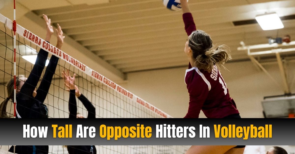 How Tall Are Opposite Hitters In Volleyball? Easy Guide [2024]